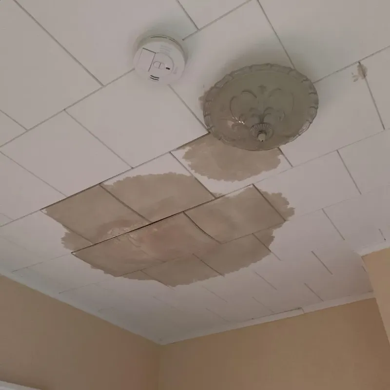 Ceiling Water Damage Repair in Weston, NJ
