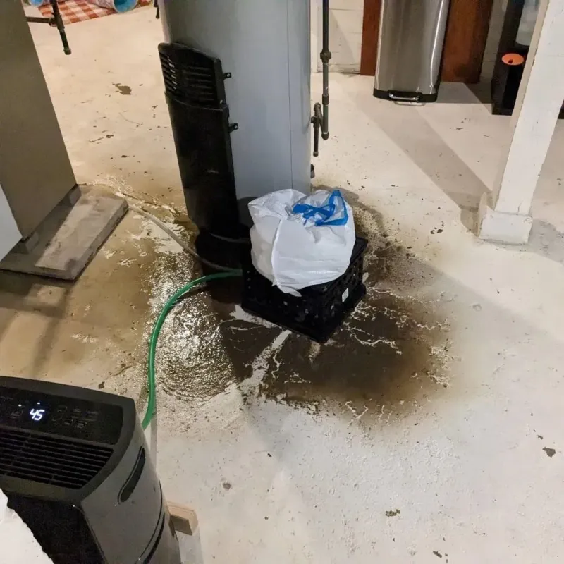 Sewage Backup Cleanup Service in Weston, NJ